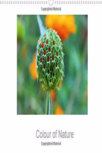 Colour of Nature 2018