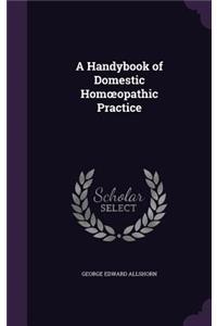Handybook of Domestic Homoeopathic Practice