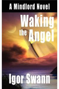 Waking the Angel