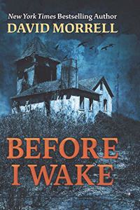 Before I Wake