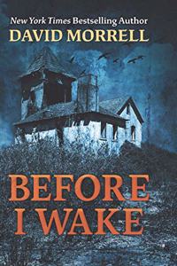 Before I Wake