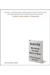 Scarcity: Why Having Too Little Means So Much