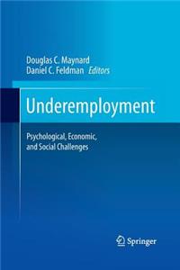 Underemployment: Psychological, Economic, and Social Challenges