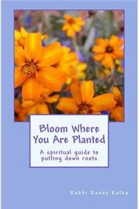 Bloom Where You Are Planted