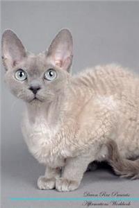 Devon Rex Affirmations Workbook Devon Rex Presents