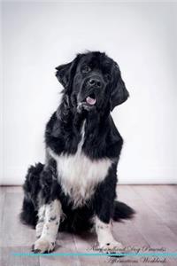 Newfoundland Dog Affirmations Workbook Newfoundland Dog Presents: Positive and Loving Affirmations Workbook. Includes: Mentoring Questions, Guidance, Supporting You.