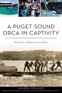 Puget Sound Orca in Captivity
