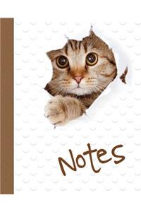 Cat Notebook, Notes, Jotter, Notebook, Lined Pages