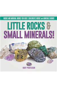 Little Rocks & Small Minerals! Rocks And Mineral Books for Kids Children's Rocks & Minerals Books