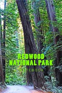 Redwood National Park