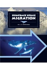Humpback Whale Migration
