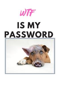 Wtf Is My Password