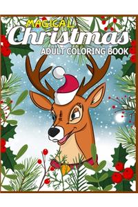 Magical Christmas Adult Coloring Book