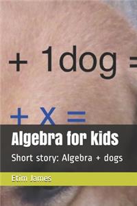 Algebra for kids