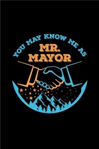 You May Know Me As Mr Mayor