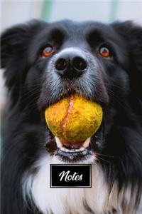 Border Collie Dog Pup Puppy Doggie Notebook Bullet Journal Diary Composition Book Notepad - Ball in Mouth