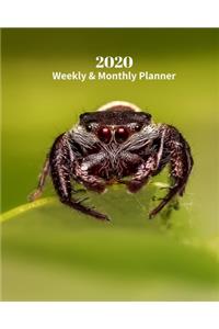 2020 Weekly and Monthly Planner