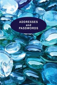 Low Vision Address Book and Password Record