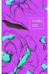 Planner 2020 12 Months