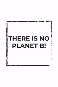 There is no Planet B