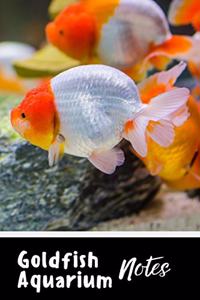 Goldfish Aquarium Notes