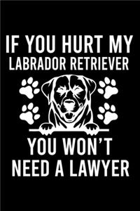 If you Hurt Labrador Retriever You Won't Need a Lawyer