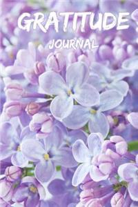 Gratitude Journal