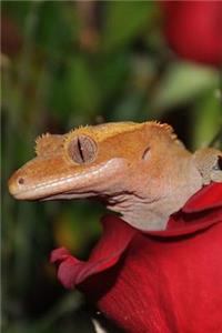 Crested Gecko Lizard Just Hanging Out Journal