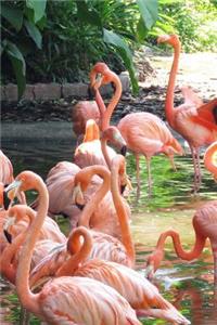 Flamingo Notebook - Journal Gift for Cute Animal Lovers