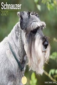 Schnauzer 2021 Wall Calendar