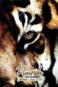 2019 Flourish Life Planner: Weekly Calendar & Dot Grid Journal: Household Organizer 6 Month January - June: Tiger 6 X 9 in 160 Pages