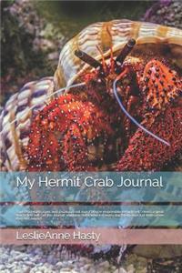 My Hermit Crab Journal