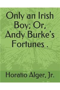 Only an Irish Boy; Or, Andy Burke's Fortunes .