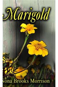 Marigold