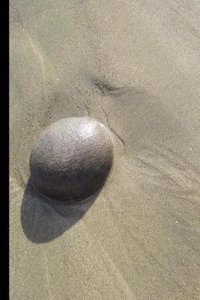 Beach Rock at Low Tide, Graph Paper Composition Notebook
