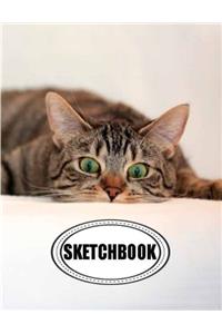 Sketchbook Tabby