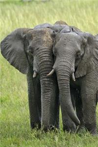 Elephants on the Savannah Journal