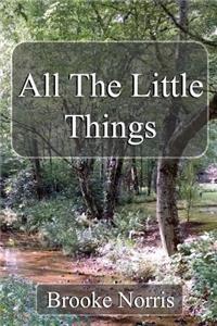 All the Little Things