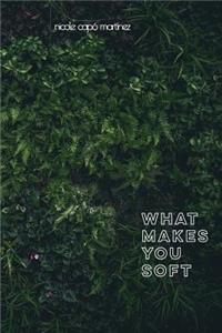 What Makes You Soft