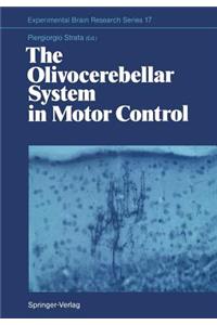Olivocerebellar System in Motor Control
