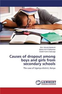 Causes of dropout among boys and girls from secondary schools