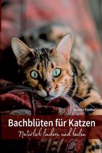 Bachblüten für Katzen