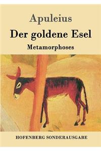 goldene Esel