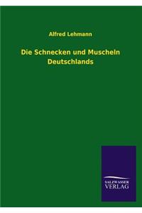 Schnecken Und Muscheln Deutschlands