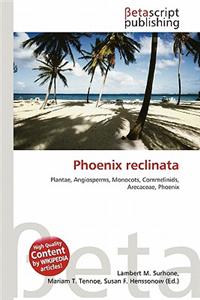 Phoenix Reclinata
