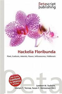 Hackelia Floribunda