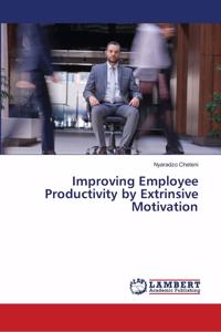 Improving Employee Productivity by Extrinsive Motivation
