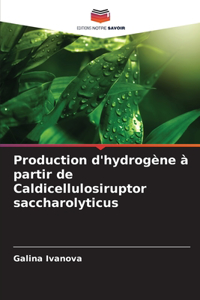 Production d'hydrogène à partir de Caldicellulosiruptor saccharolyticus