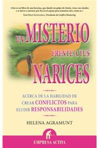 Un Misterio Frente a Tus Narices