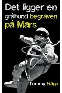 Det ligger en gråhund begraven på Mars